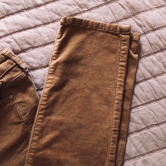 Velvet corduroy pants - Picture 3 of 3